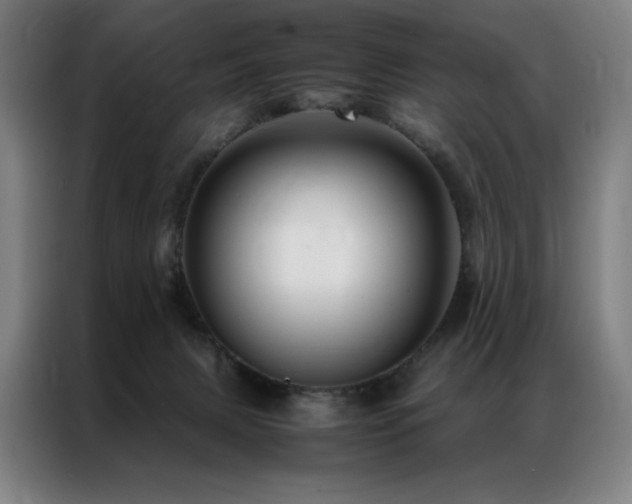 X0000087370079200704201235