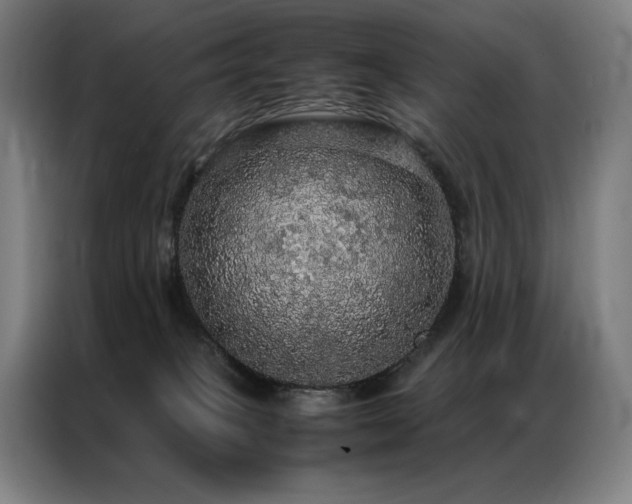 X0000087370085200704201235