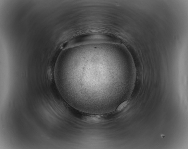 X0000087370086200704201235