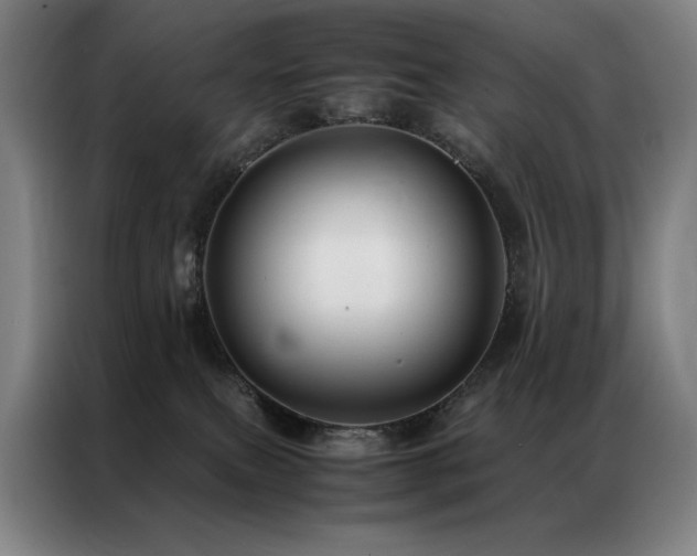 X0000087370087200704201235