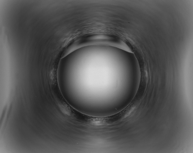 X0000087370088200704201235