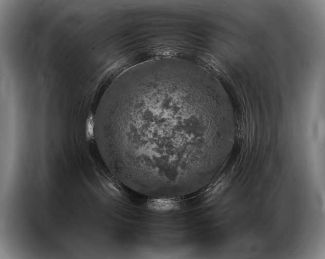 X0000087370095200704201235