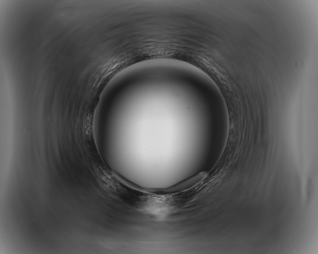 X0000087370096200704201235