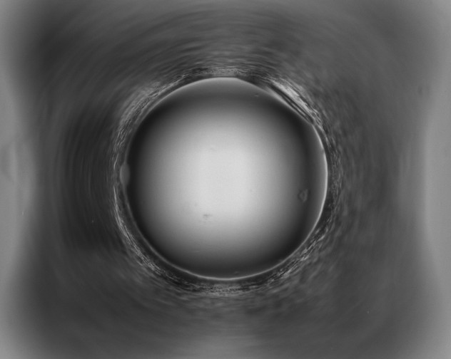 X0000087370097200704201235
