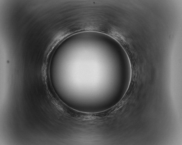 X0000087370098200704201235
