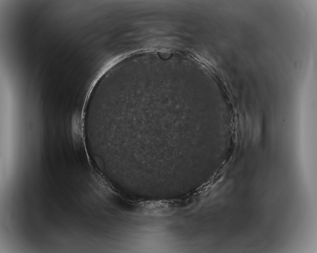 X0000087370100200704201235