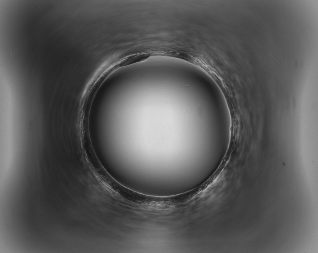 X0000087370101200704201235