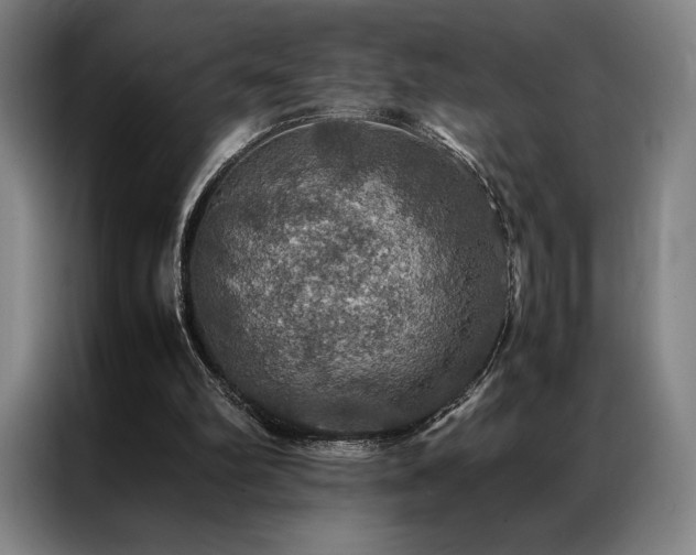 X0000087370102200704201235