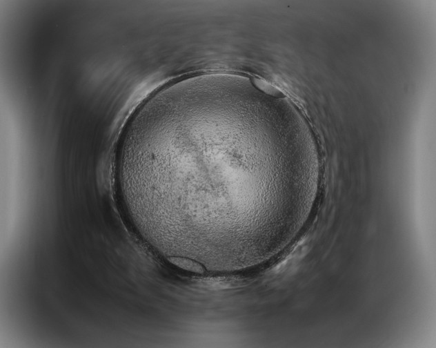 X0000087370103200704201235