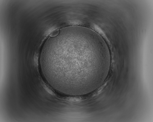X0000087370106200704201235