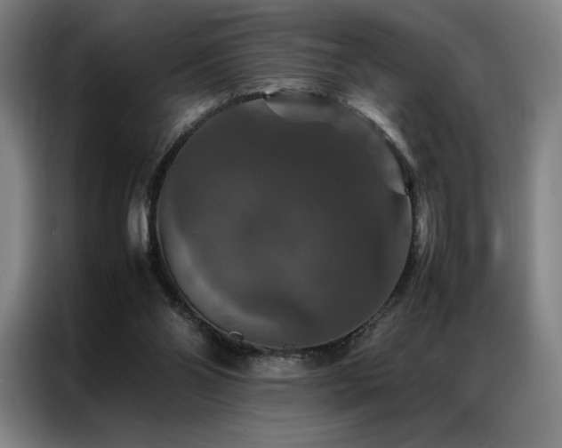 X0000087370110200704201235