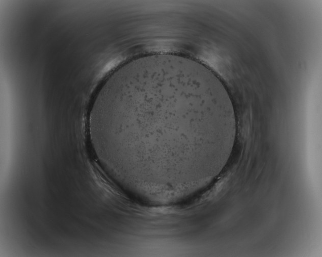 X0000087370111200704201235