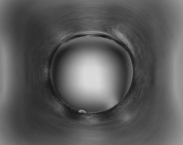 X0000087370113200704201235