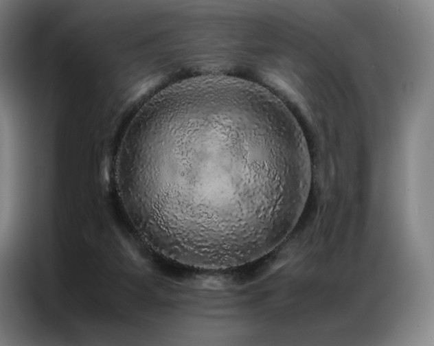 X0000087370115200704201235