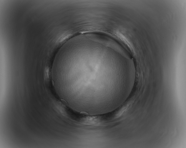 X0000087370117200704201235