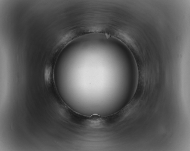 X0000087370118200704201235