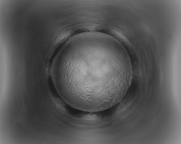 X0000087370119200704201235