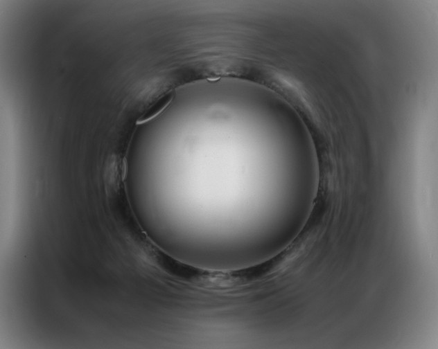 X0000087370121200704201234
