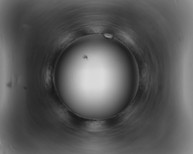 X0000087370122200704201234