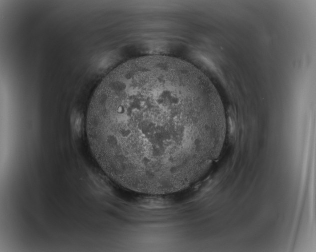 X0000087370123200704201234
