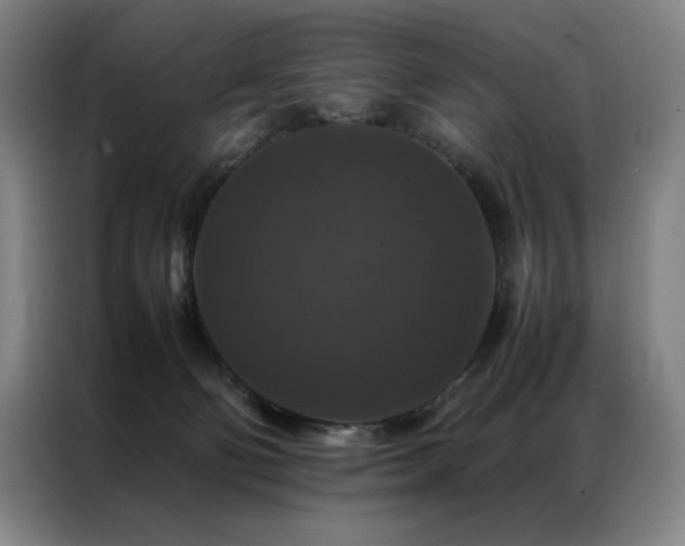 X0000087370130200704201234