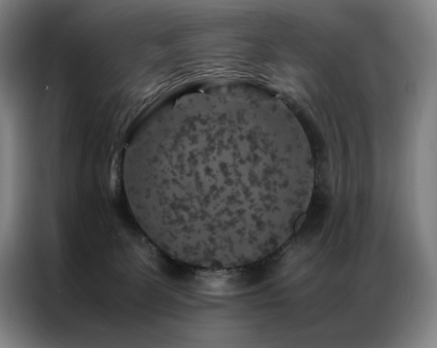 X0000087370131200704201234