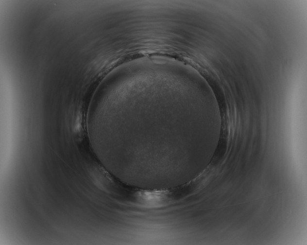 X0000087370134200704201234