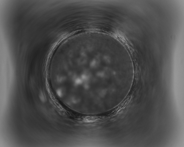 X0000087370145200704201234