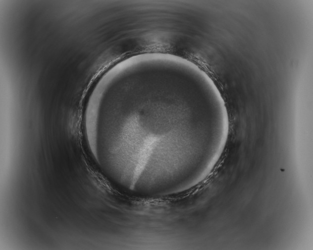 X0000087370146200704201234