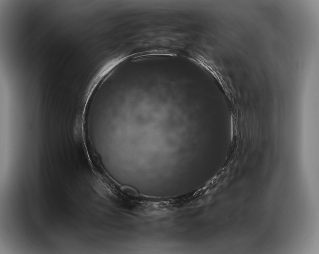 X0000087370147200704201234