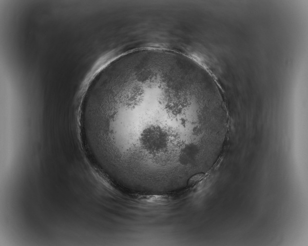 X0000087370151200704201234