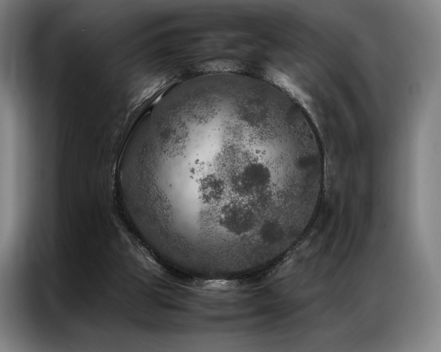 X0000087370153200704201234