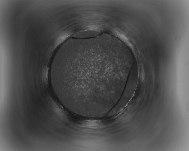 X0000087370154200704201234