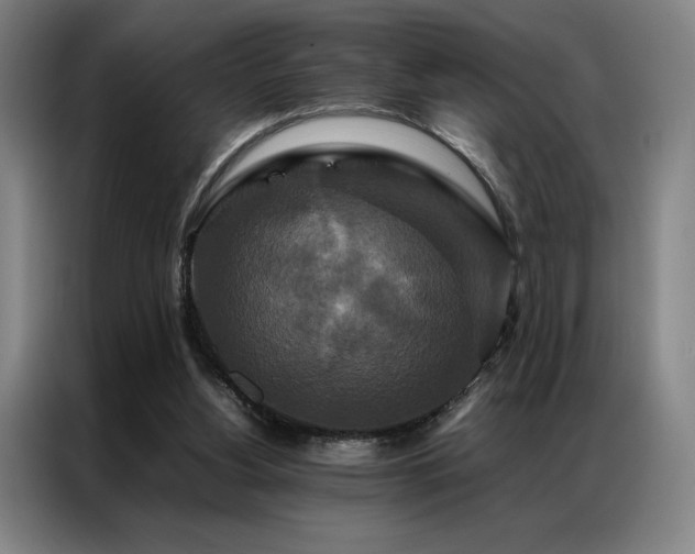 X0000087370156200704201234