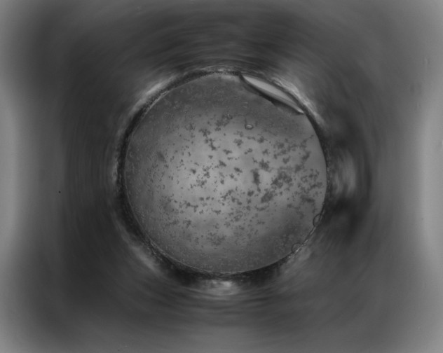 X0000087370159200704201234
