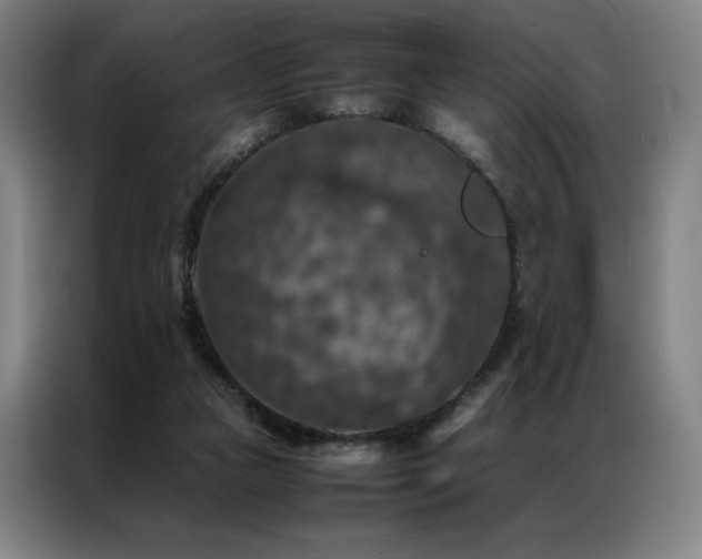 X0000087370161200704201234