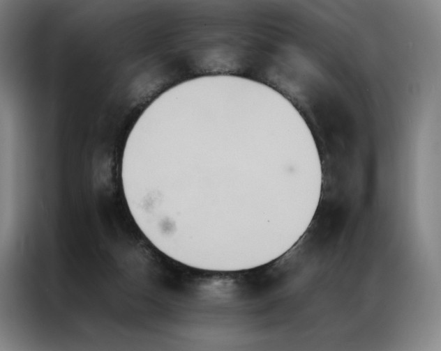 X0000087370162200704201234