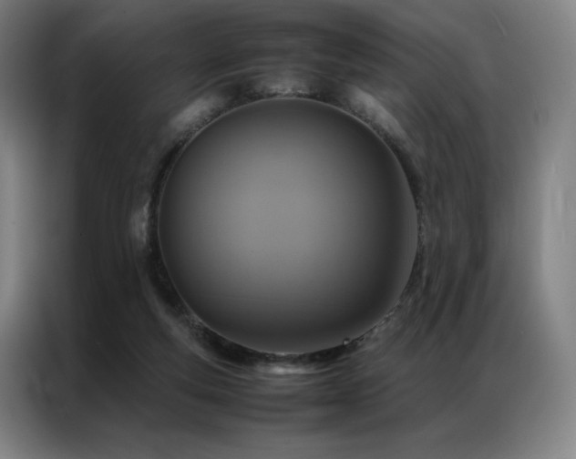 X0000087370163200704201234