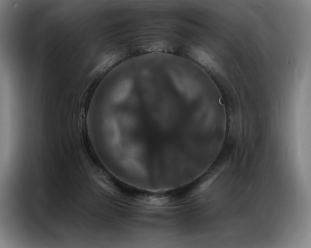 X0000087370165200704201234