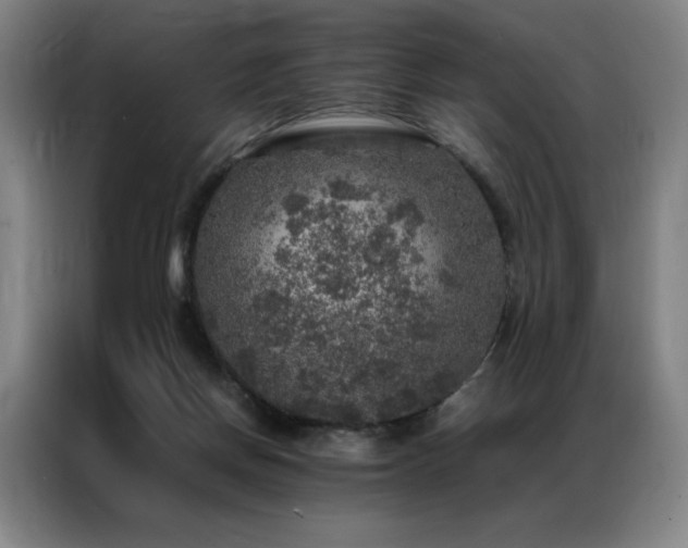 X0000087370166200704201234