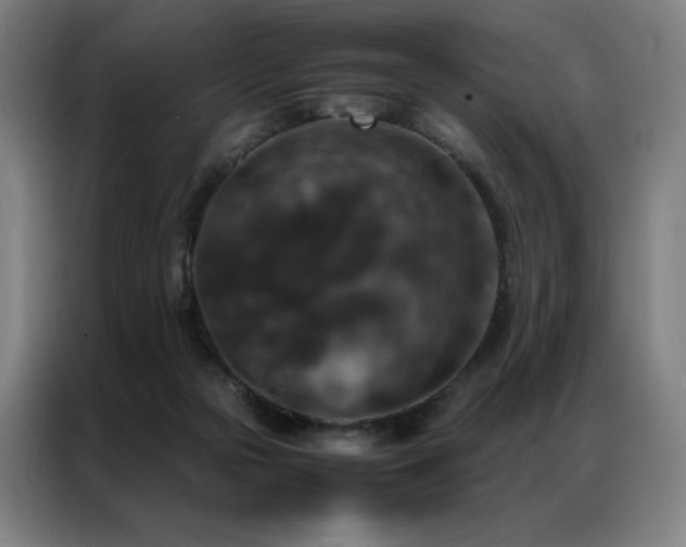 X0000087370169200704201234