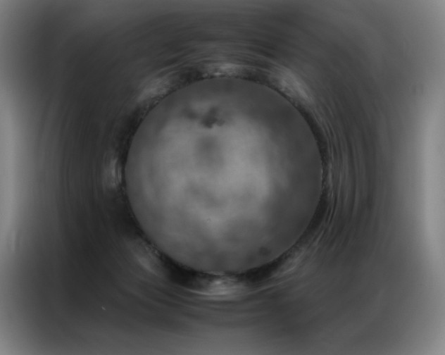 X0000087370173200704201234