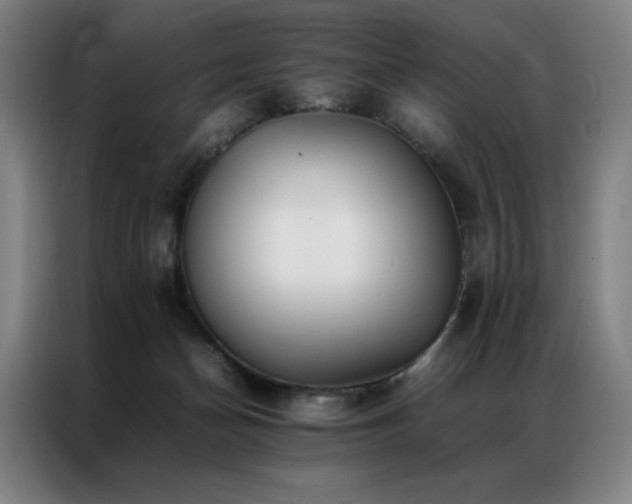X0000087370174200704201234