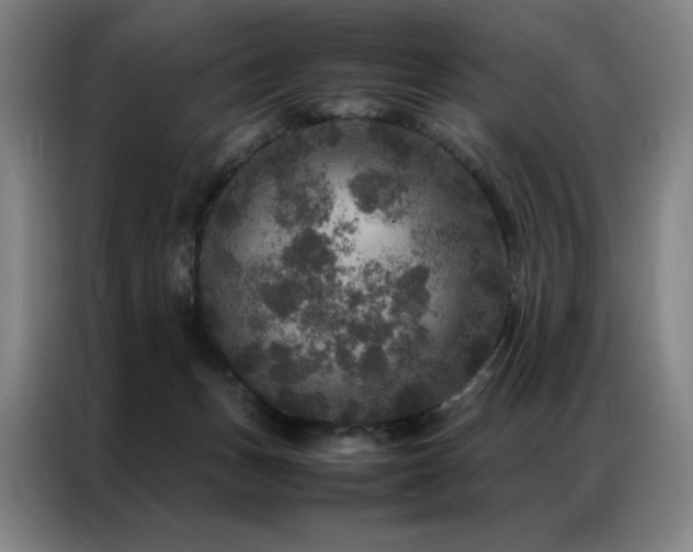 X0000087370175200704201234