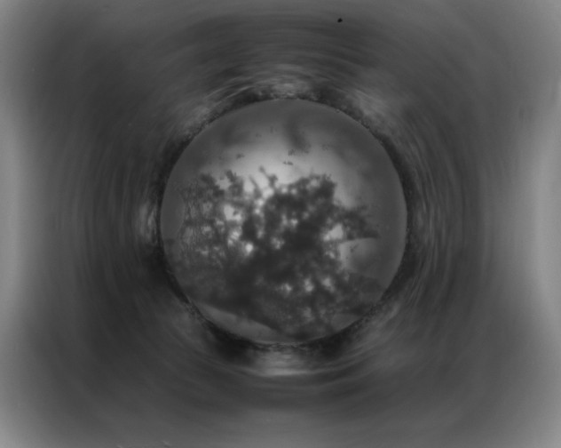 X0000087370177200704201234