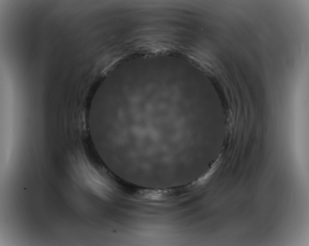 X0000087370182200704201234