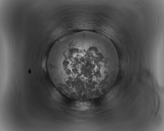 X0000087370185200704201234