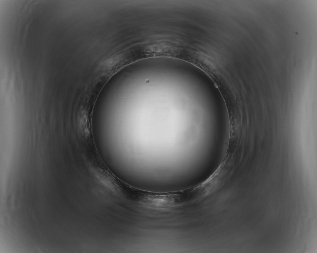 X0000087370187200704201234