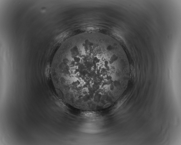 X0000087370189200704201234