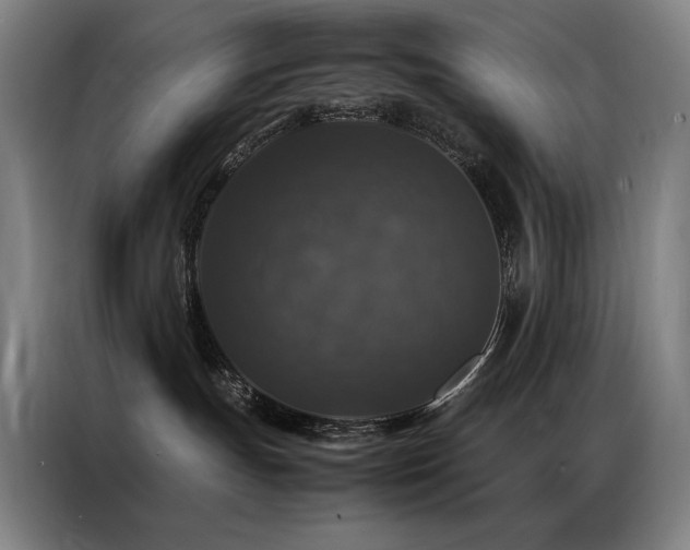 X0000087370191200704201234